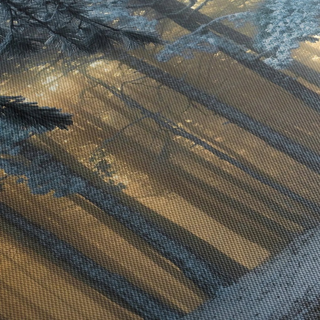 Obraz zasneženého lesa (70x50 cm)