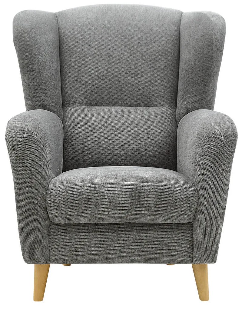 FINES sivé kreslo ušiak Aladin