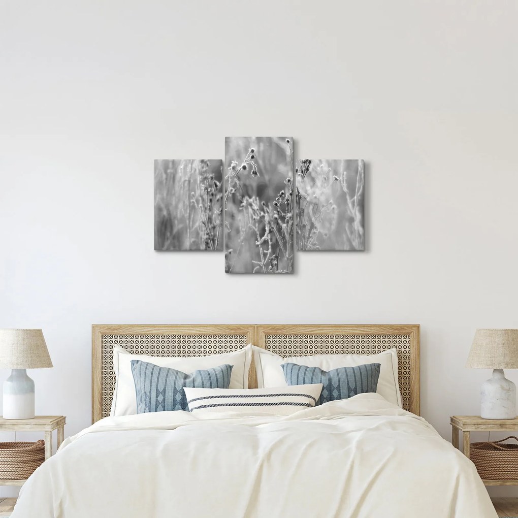 Obraz - Divoká lúka (90x60 cm)