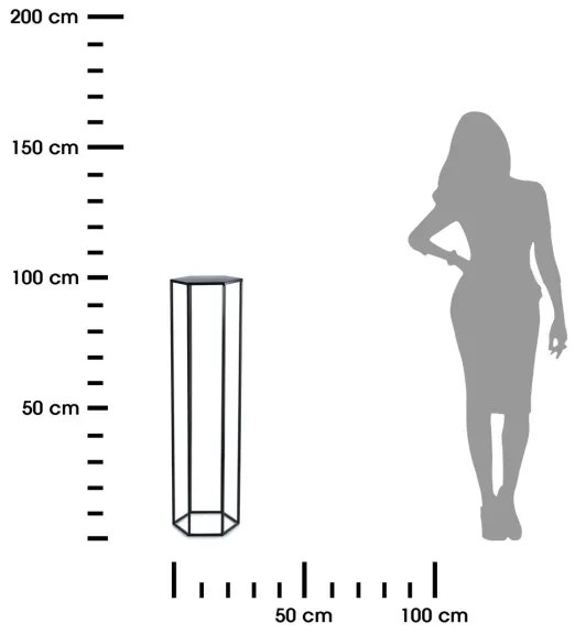 Stojan na kvety 100x24 cm čierna