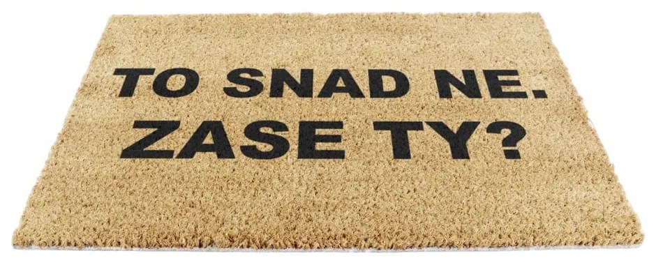 Rohožka z kokosového vlákna 40x60 cm Zase Ty? – Artsy Doormats