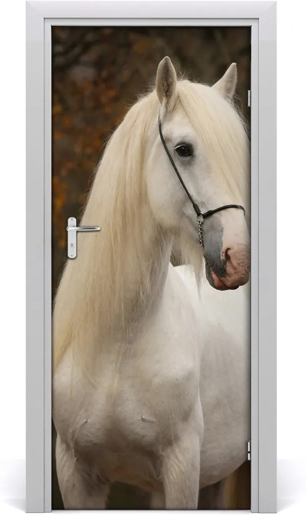 Samolepící fototapeta na dveře Bílý kůň