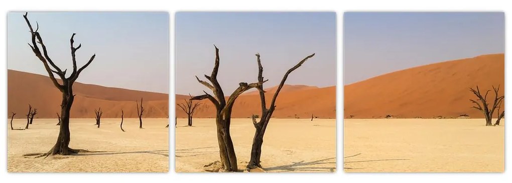Obraz púšte