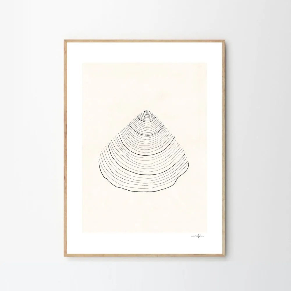 The Poster Club Plagát Shell by Ana Frois 50x70