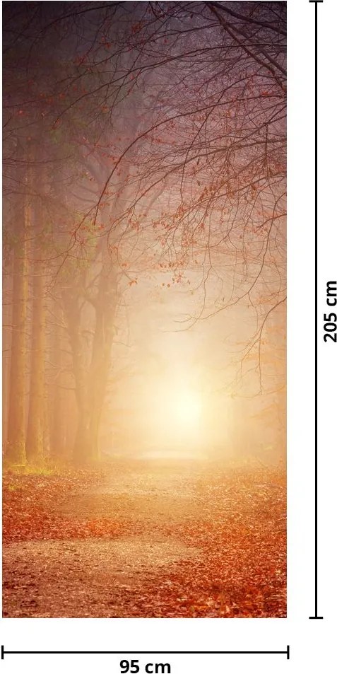 Fototapeta na dvere - Jesenný les v hmle (95x205cm)