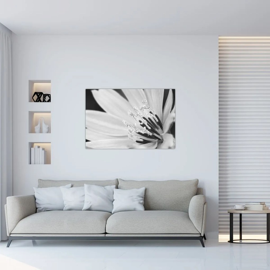 Obraz - Čiernobiely kvet (90x60 cm)