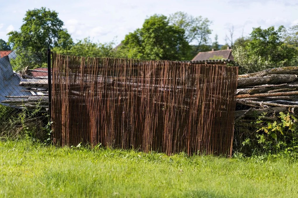 Prútená zástena na plot Výška plota: 150 cm, Dĺžka plota: 300 cm