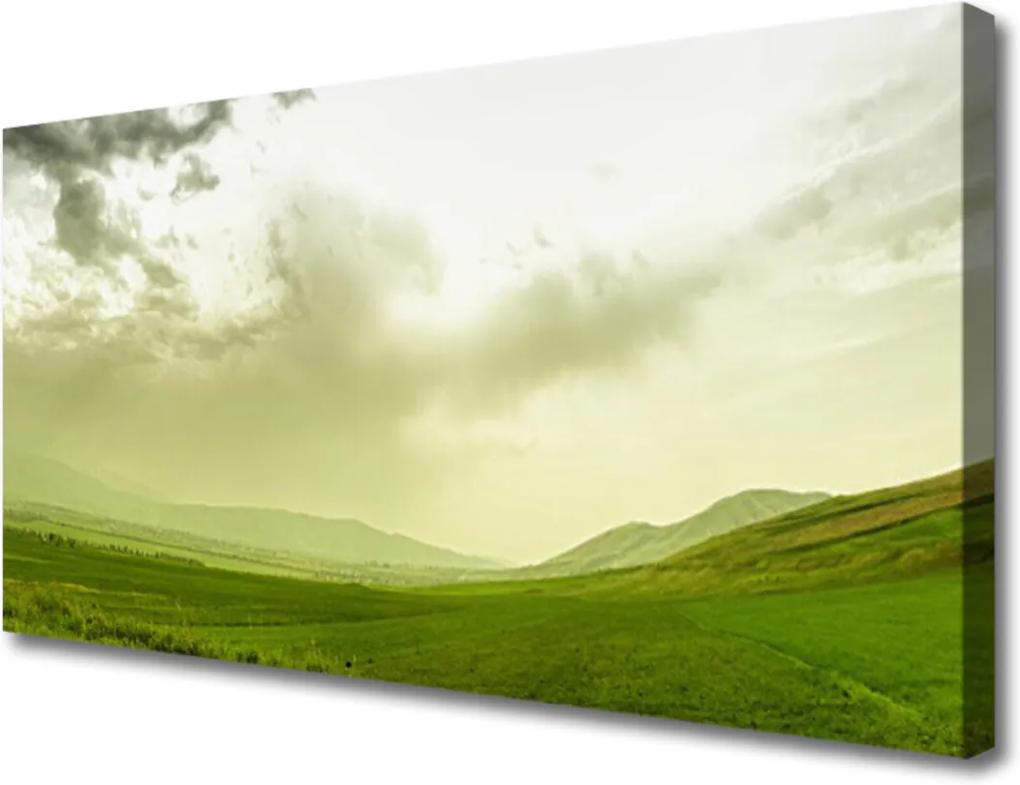 Obraz Canvas Lúka Príroda Zelený Výhľad
