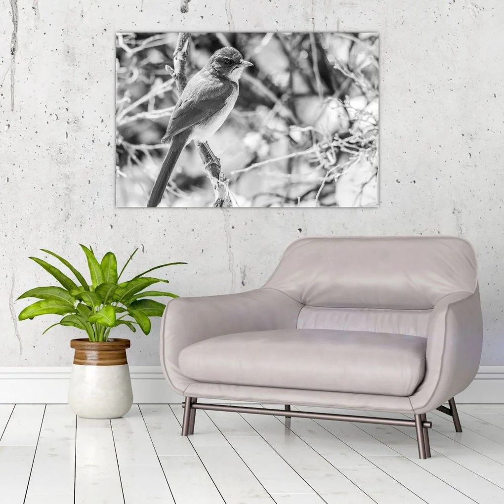 Obraz - Modrý vták v zime (90x60 cm)