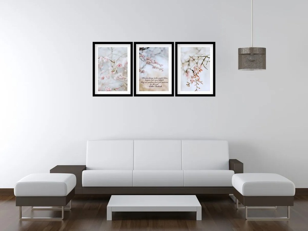 Gario Sada plagátov Kvitnúca višňa - 3 dielna Farba rámu: Rustikálna, Veľkosť: 99 x 45 cm