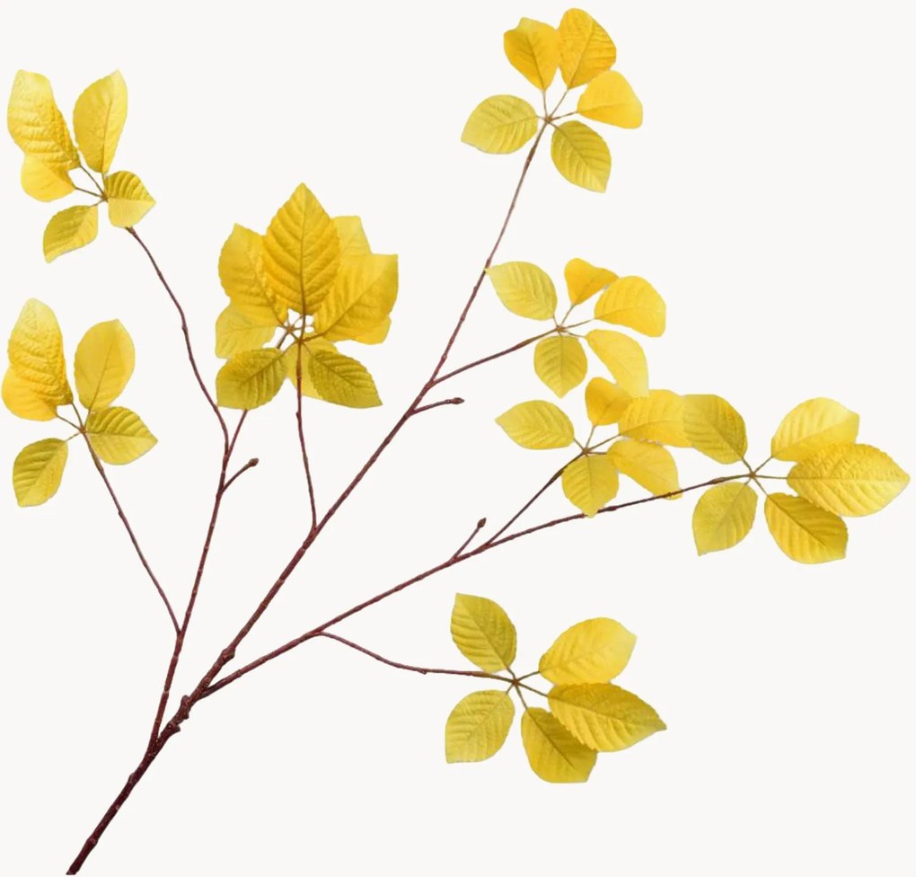 Rastlinné dekorácie Leaf, 2 ks