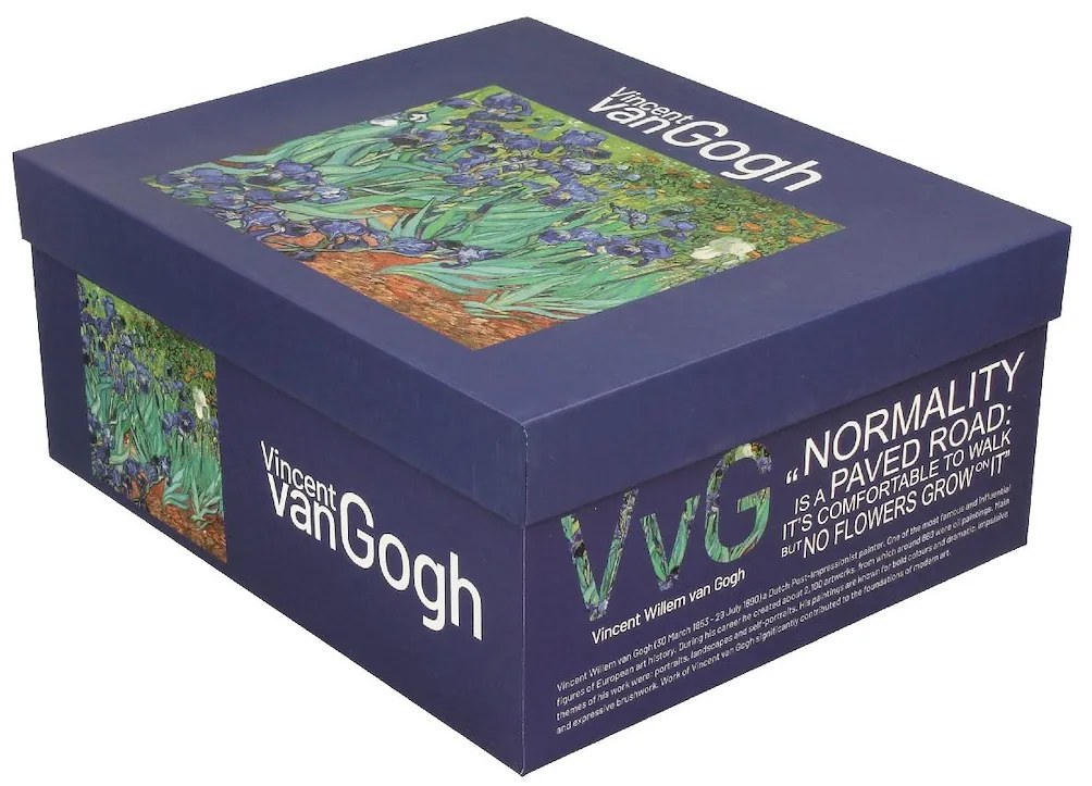Duo Porcelánová šálka s podšálkou Van Gogh Irises 90 ml sada 2ks