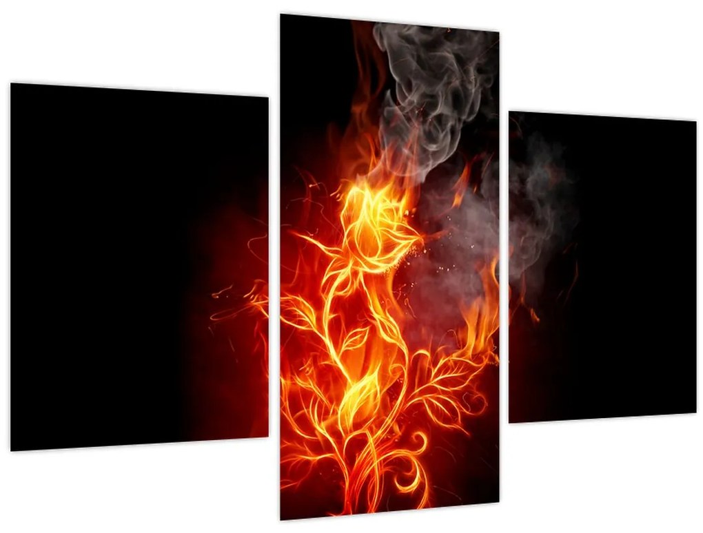 Obraz - Ruže v ohni (90x60 cm)