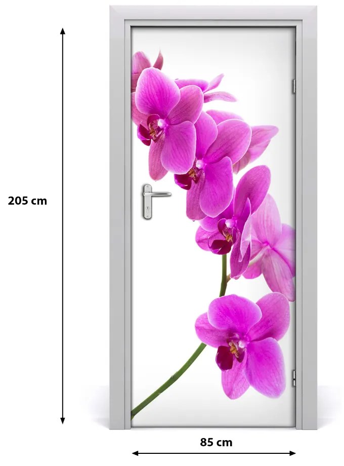 Fototapeta samolepiace ružová orchidea 85x205 cm