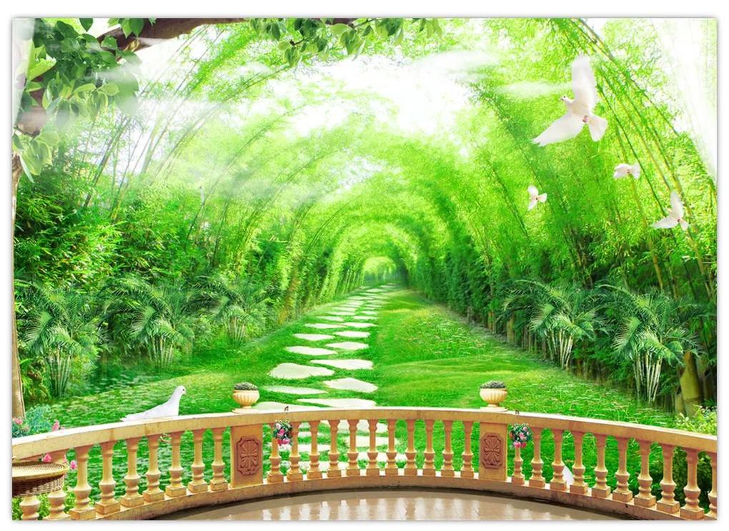 Sklenený obraz - Výhľad na tropickú záhradu (70x50 cm)
