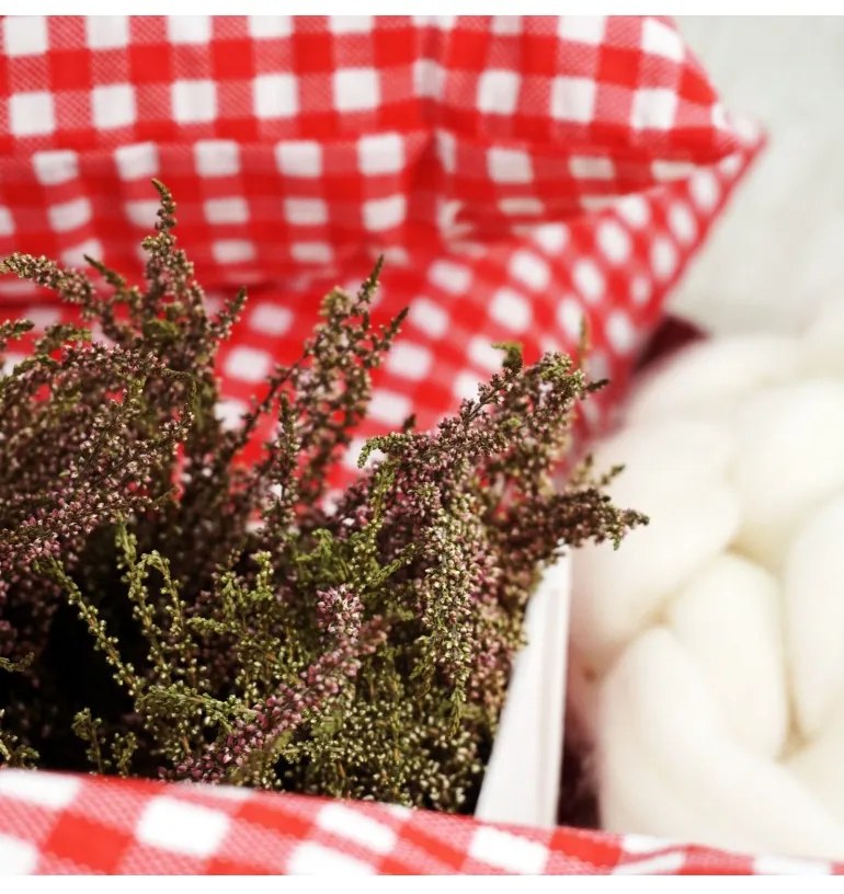 Obliečky Mníchov červené EMI, Vankúš 45x65