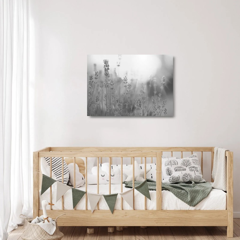Sklenený obraz - Levanduľa (70x50 cm)
