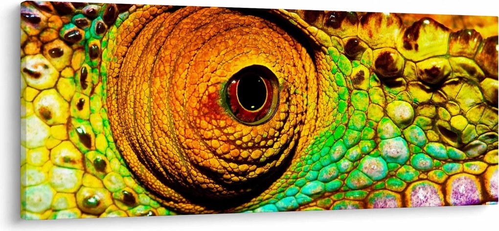 Obraz - Chameleon (120x50 cm)