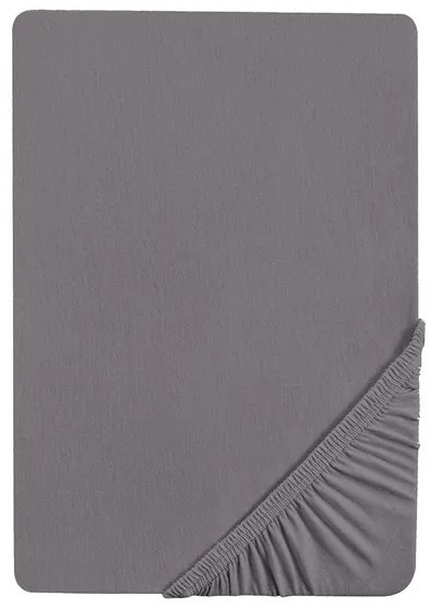 Biberna Napínacia džersejová plachta (strieborná/sivá, 140 – 160 x 200 cm)  (100227068)