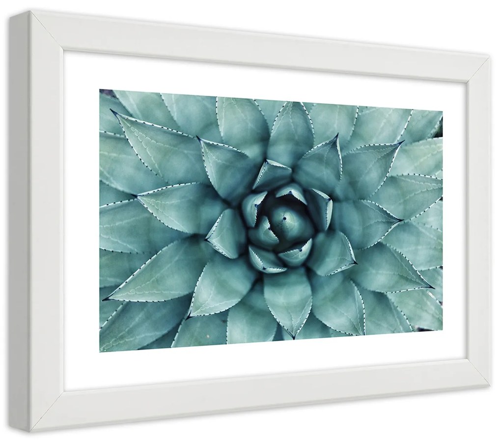 Gario Plagát Modré listy agáve Farba rámu: Bez rámu, Rozmery: 100 x 70 cm