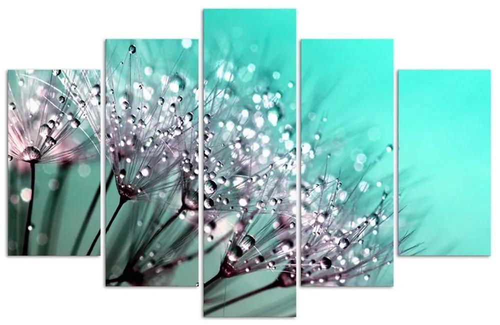 Obraz na plátně pětidílný Dmychadlo Tyrkysová květina - 200x100 cm