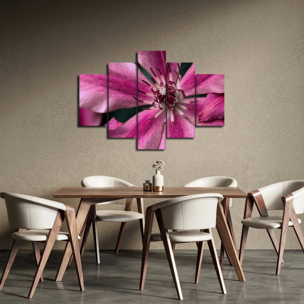 Obraz ružového kvetu plamienku (150x105 cm)