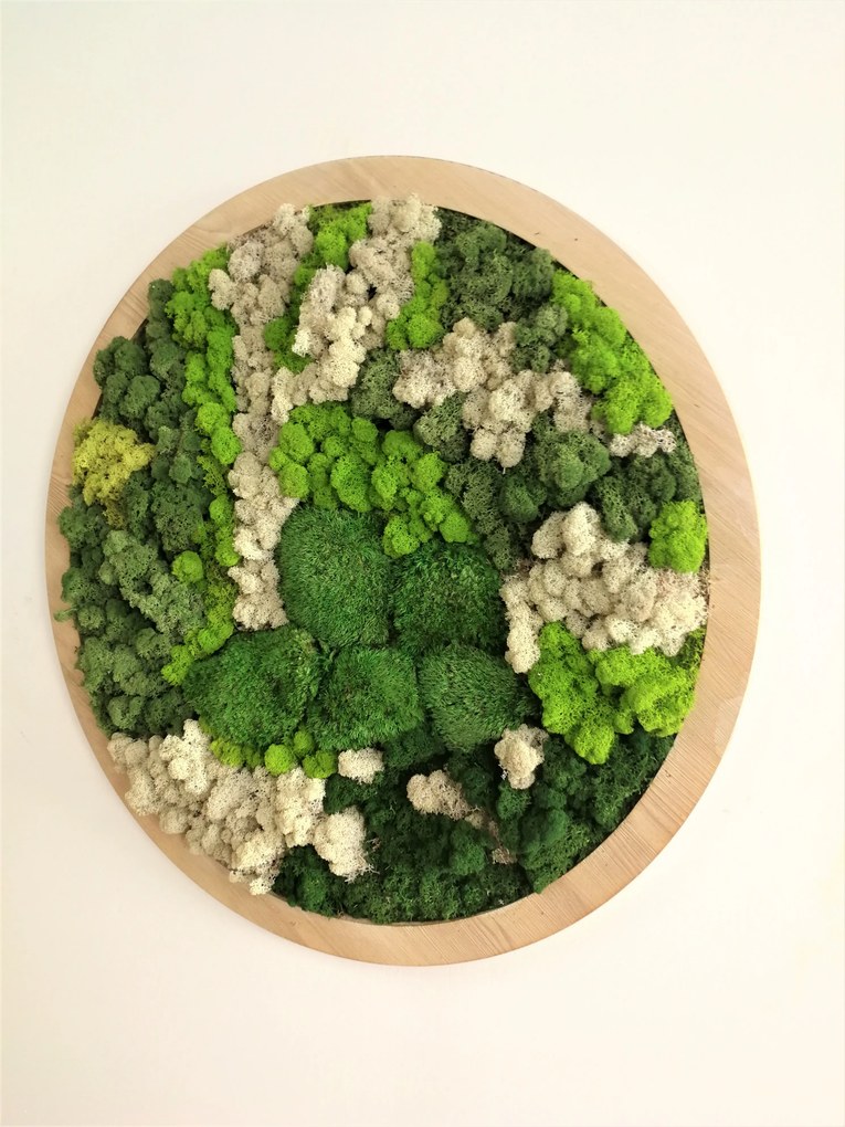 Machový obraz- kruh v drevenom ráme, Priemer machového obrazu ∅ 40cm