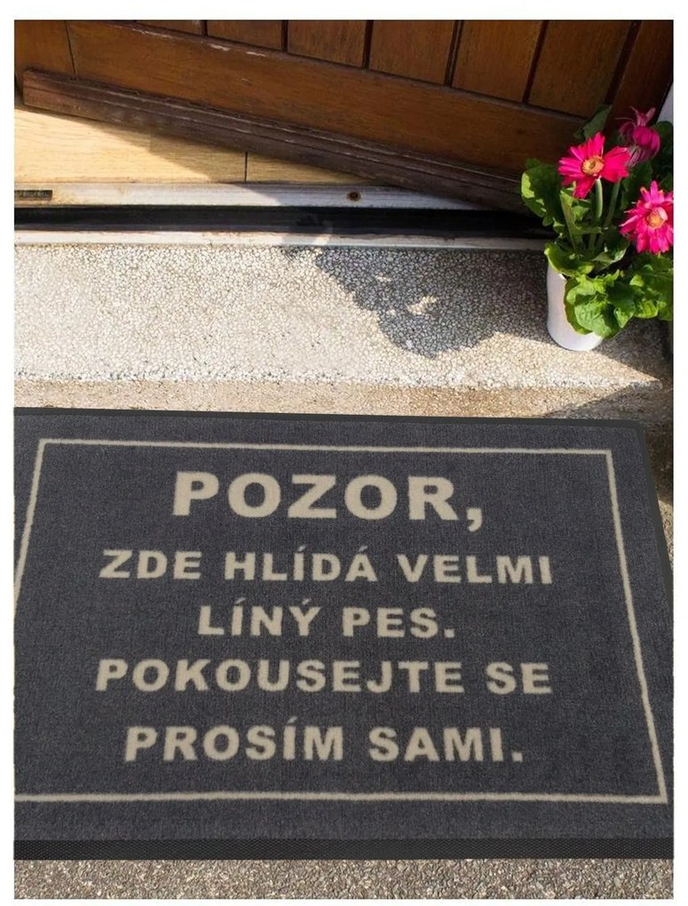 Rohožka Lenivý pes 40x60 cm – na von aj na doma, 40x60, šedá, GDmats