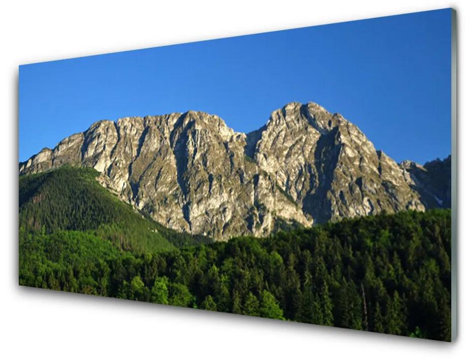 Obraz na skle Hora les príroda 125x50 cm