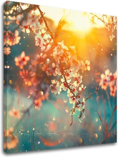 Obraz na stenu STROMY_037-12