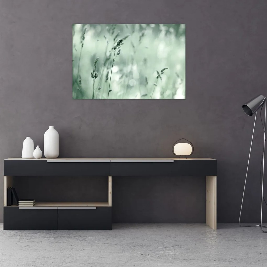 Obraz - Zelená lúka (90x60 cm)