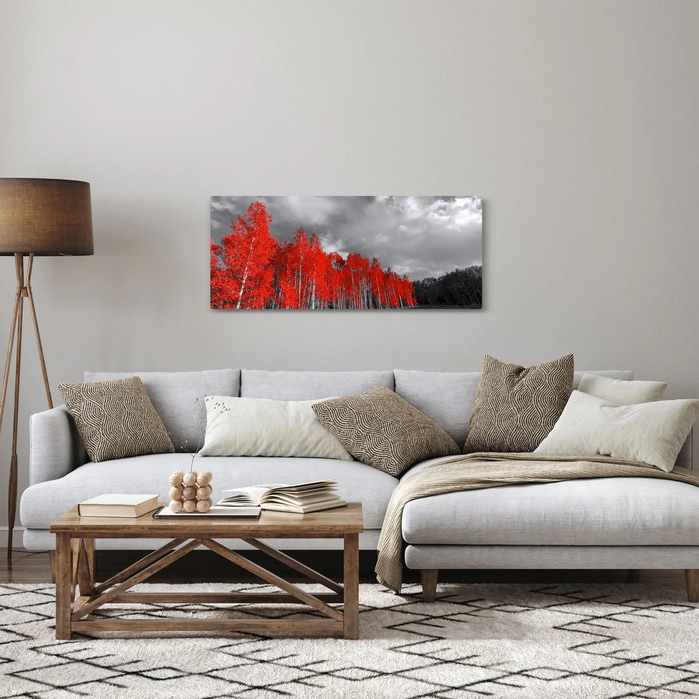 Obraz - Stromy vo farbe jesene (120x50 cm)