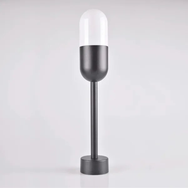 Vonkajšia lampa HORTEN 1xE27/10W/230V IP44 44 cm