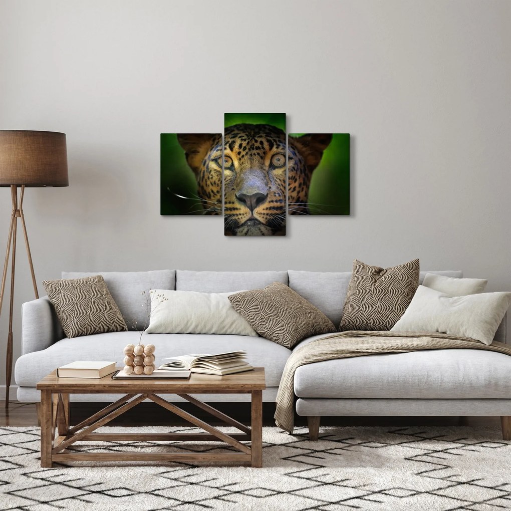 Obraz - Portrét leoparda, Sri Lanka (90x60 cm)