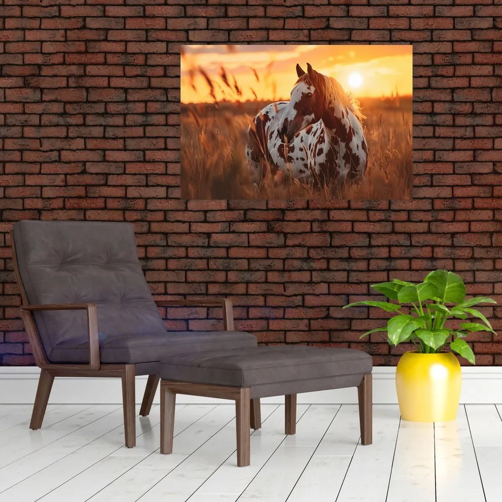 Obraz - Kôň pri západe slnka (90x60 cm)