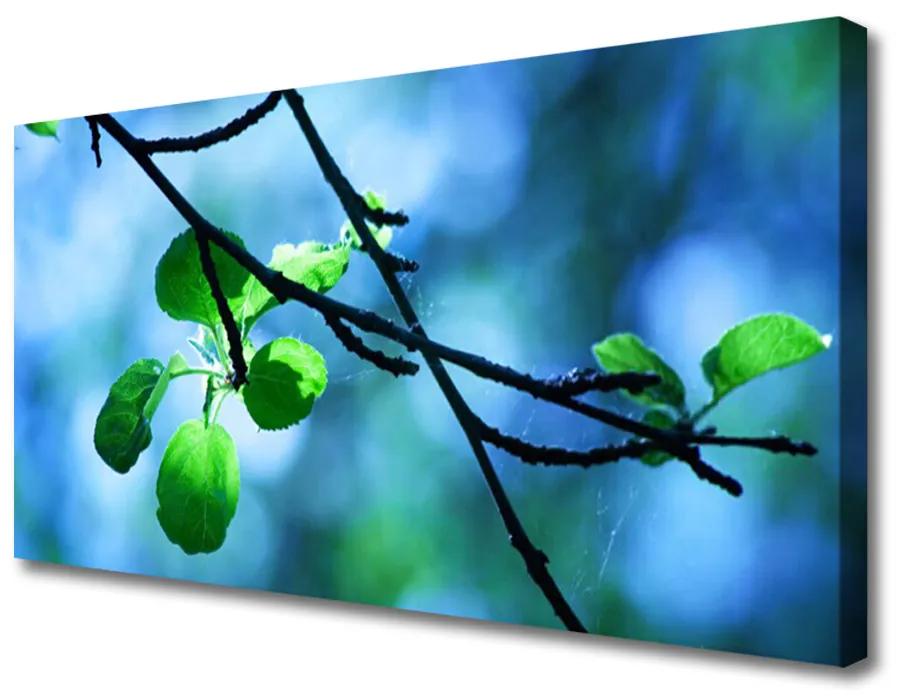 Obraz Canvas Vetva listy rastlina príroda 120x60 cm