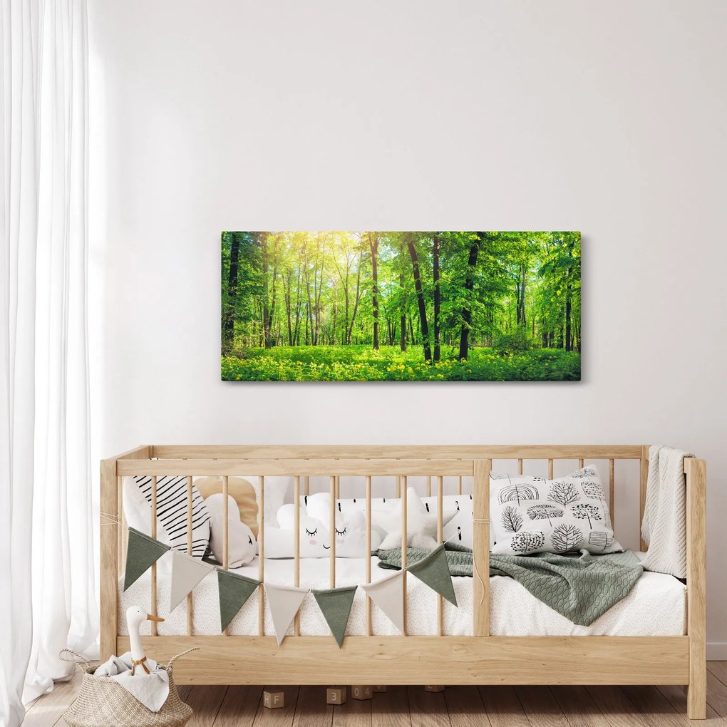 Obraz - Jarný listnatý les (120x50 cm)