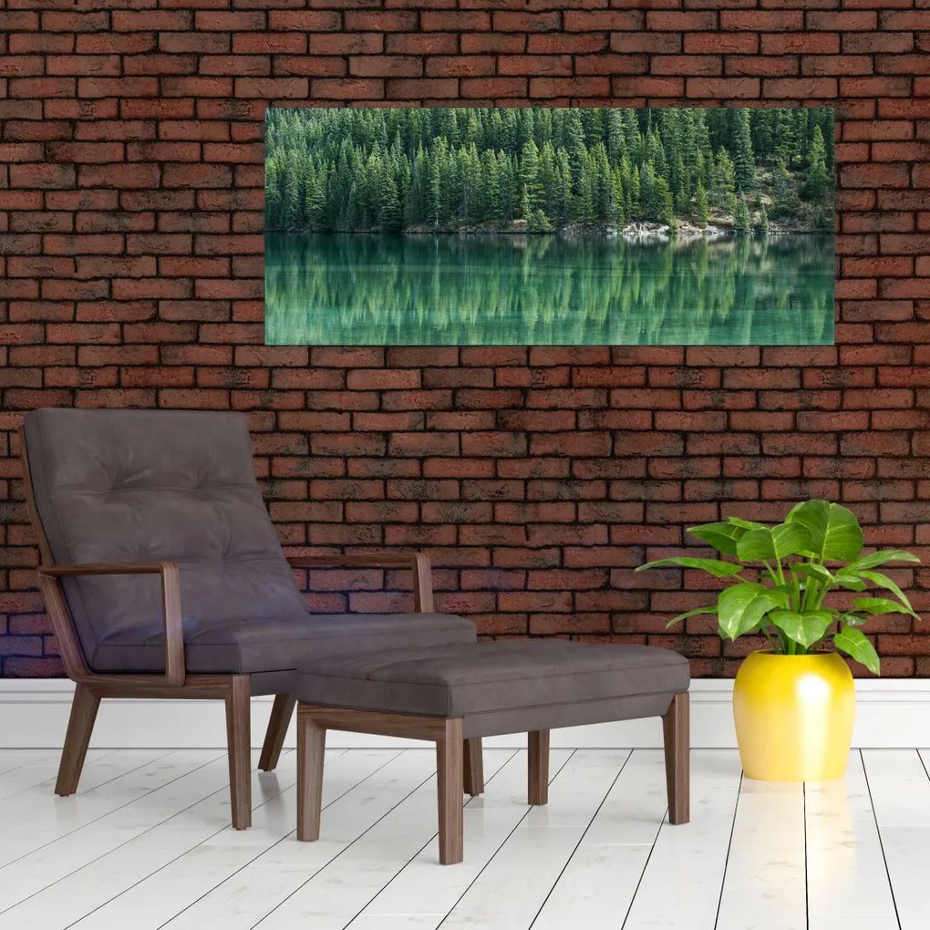 Obraz - Ihličnany pri jazere (120x50 cm)