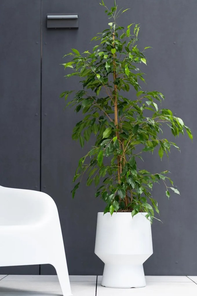 Kvetináč HEOSO svetlosivý