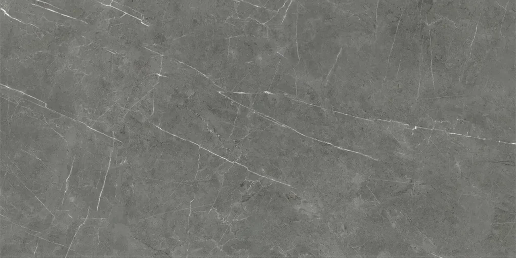 Dlažba Tessino Grey Pulido 60x120 R