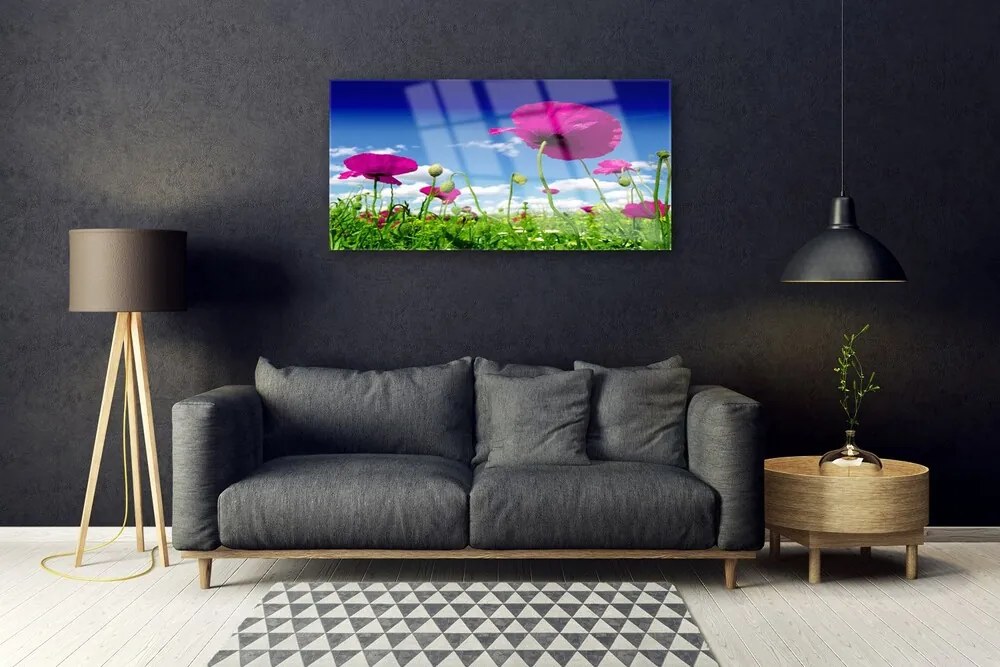 Skleneny obraz Lúka kvety nebo príroda 120x60 cm