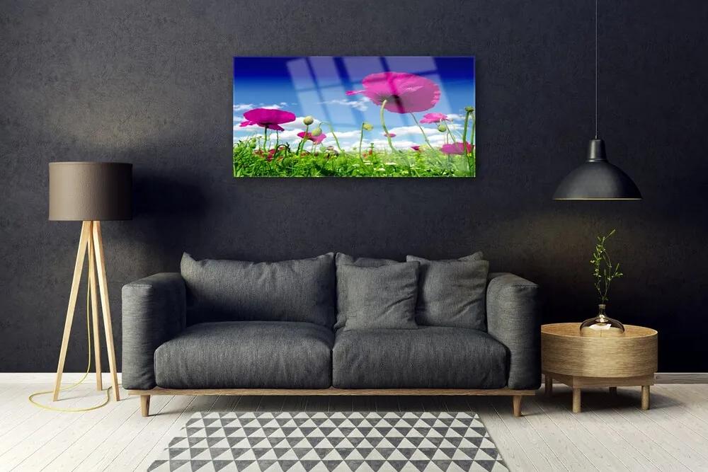 Skleneny obraz Lúka kvety nebo príroda 140x70 cm