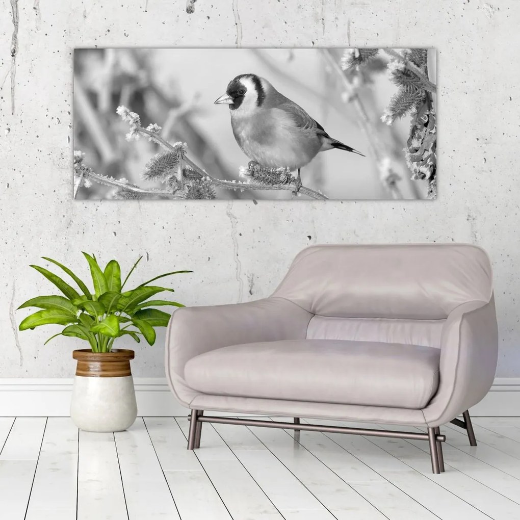 Obraz - Vtáčik v zime (120x50 cm)