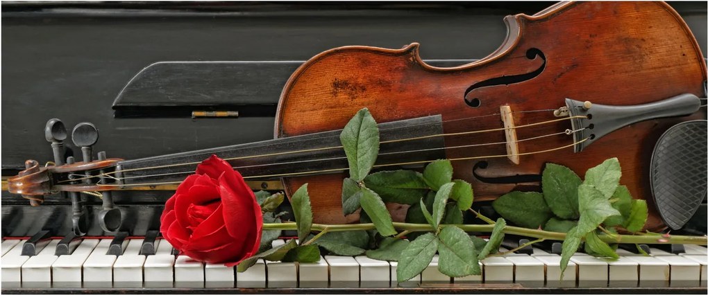 Obraz - Spomienka na hudobníka (120x50 cm)