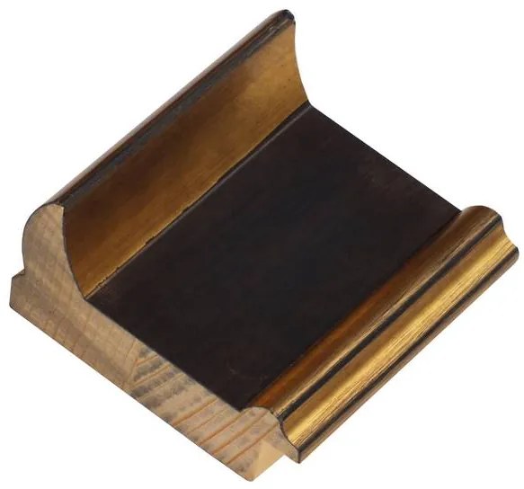 DANTIK rám na obraz 70x100 | TOOTH zlato černá (Plexi Čiré)