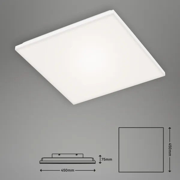 Briloner 7378-116 - LED Stmievateľné stropné svietidlo FRAMELESS LED/24W/230V + DO