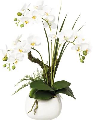 Umelá orchidea phalaenopsis v keramickom kvetináči 46 cm biela Real Touch