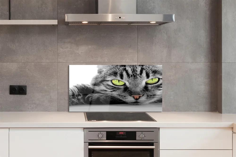 Nástenný panel  šedočierna mačka 100x50 cm