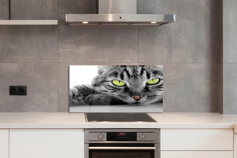 Nástenný panel  šedočierna mačka 125x50 cm