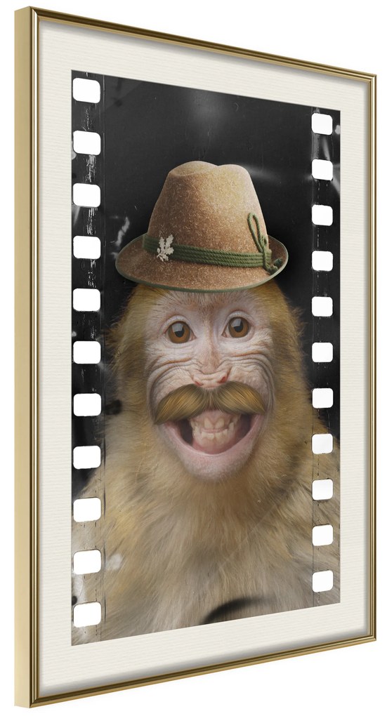Artgeist Plagát - Monkey In Hat [Poster] Veľkosť: 30x45, Verzia: Zlatý rám s passe-partout